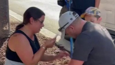 WATCH: New York family reunited with lost Golden Retriever