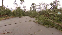 Trees down in the Scituate/Johnstown area in Rhode Island