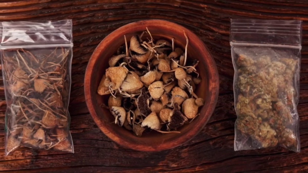 Could ‘magic mushrooms' be the answer for those struggling with addiction?