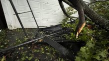 Trees down in a driveway in Andover, Massachusetts, on Sept. 8, 2023.