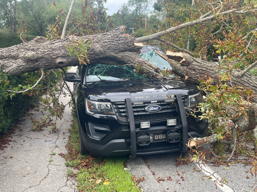 A Cohasset police car is damaged by a fallen tree following the wake of storm Lee. The officer was ok, but South Main & River Rd were completely blocked for an hour on Saturday. Formerly a hurricane, forecasters downgraded the storm, but it is still dangerous.