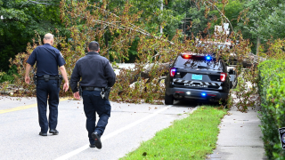 A Cohasset police officer was standing outside his cruiser when a giant tree fell, crushing part of his police vehicle on Saturday, Sept. 16, 2023.