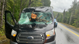 Maine State Police responded to this incident on Route 11 in Moro Plantation as heavy winds whipped the state from storm Lee.