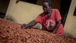 A woman spreads cocoa beans during the sun-drying process in the backyard of her house in Asikasu, Ghana on December 19, 2020.