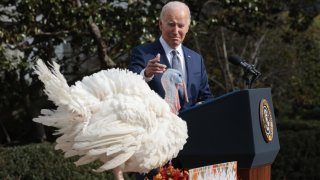 U.S. President Joe Biden pardons the National Thanksgiving turkeys Liberty and Bell during a ceremony on the South Lawn of the White House on November 20, 2023 in Washington, DC.