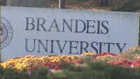 Report: Brandeis women's basketball coach retires after players threaten to quit