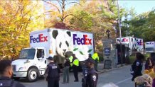 The zoo's famed giant pandas are leaving D.C., traveling up Connecticut Avenue and then boarding a specially equipped FedEx plane en route to China.