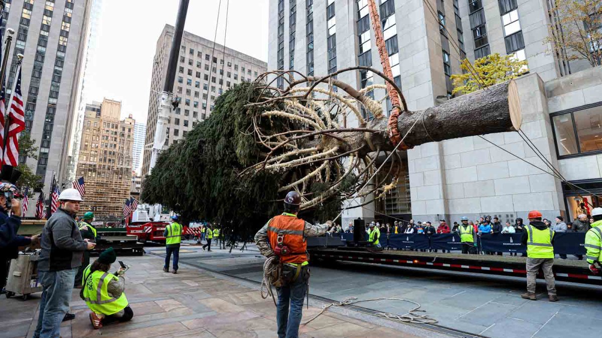 Rockefeller Center Christmas tree What to know NECN