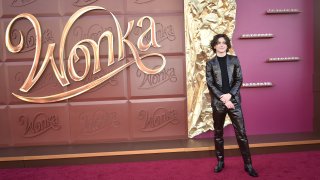 Timothee Chalamet arrives at the premiere of "Wonka"