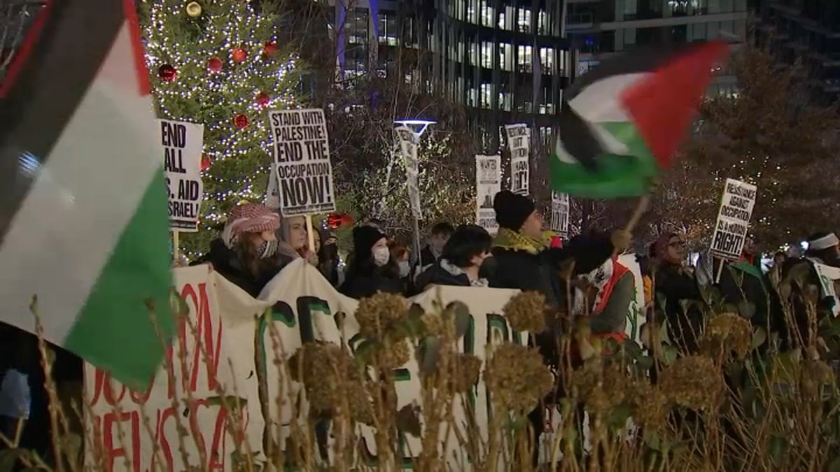 支持巴勒斯坦的抗议者在Snowport节日市场外集会