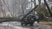 A tree fell on power lines, damaging an SUV as well, on Dedham Street in Newton, Massachusetts, as a storm hit the region on Monday, Dec. 18, 2023.