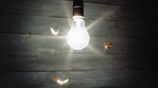 FILE - Researchers believe that artificial lights at night may actually scramble flying insects’ innate navigational systems