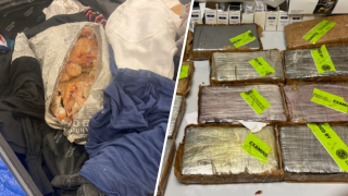 Cocaine bricks allegedly smuggled into the country, and found by officers at JFK Airport.