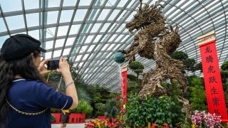 A visitor takes pictures in front of a wooden dragon themed sculpture displayed to celebrate the upcoming Lunar New Year inside the flower dome at Gardens by the Bay in Singapore on February 1, 2024.