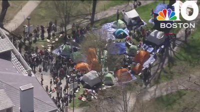 Pro-Palestinian protesters set up encampment in Harvard Yard