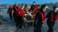 Rescuers save 10 of 11 dolphins in mass stranding on Cape Cod