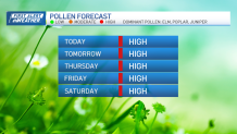 A graphic noting that the pollen forecast is high through Saturday in the Greater Boston area.