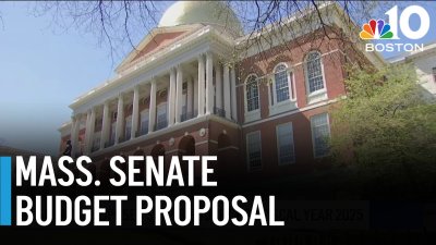 Here's what's inside the Mass. Senate's proposed budget