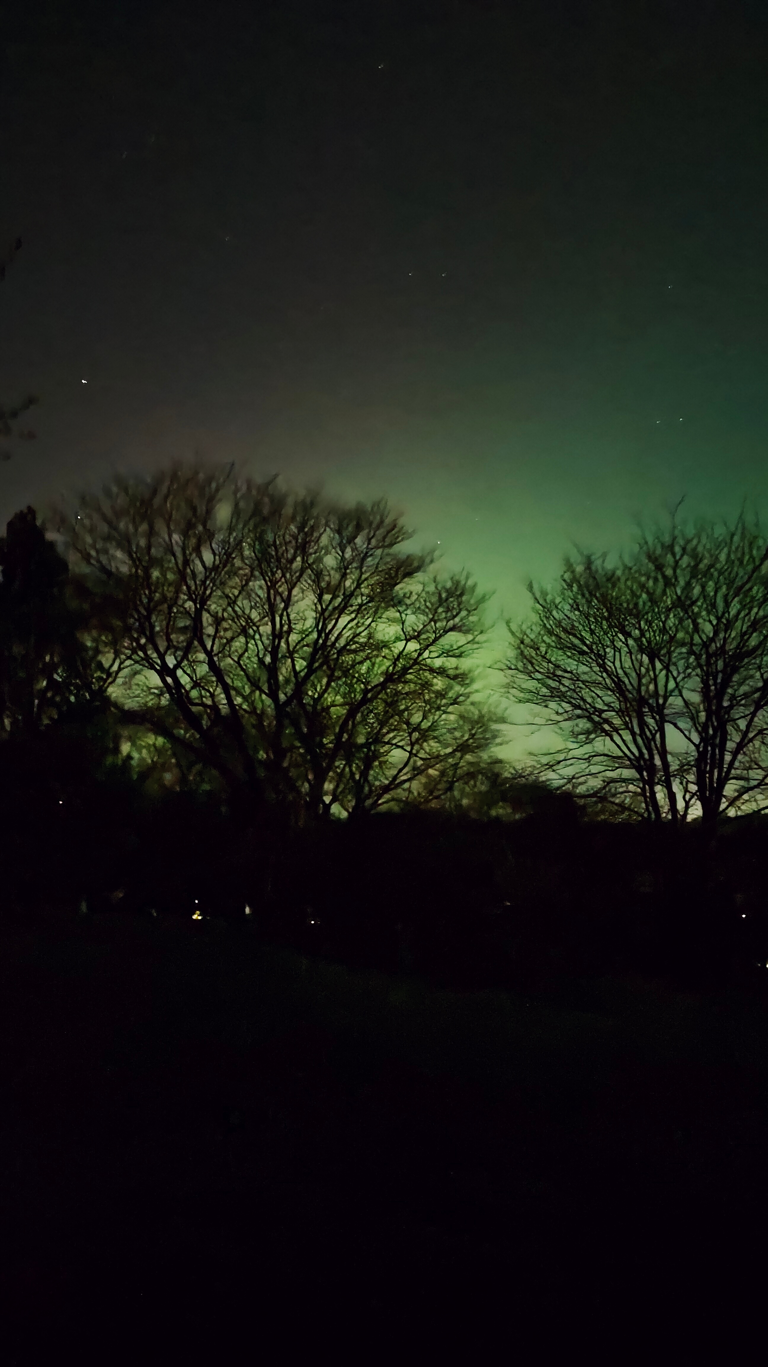 Northern lights seen over Peters Hills near Arnold Arboretum, Forest Hills.