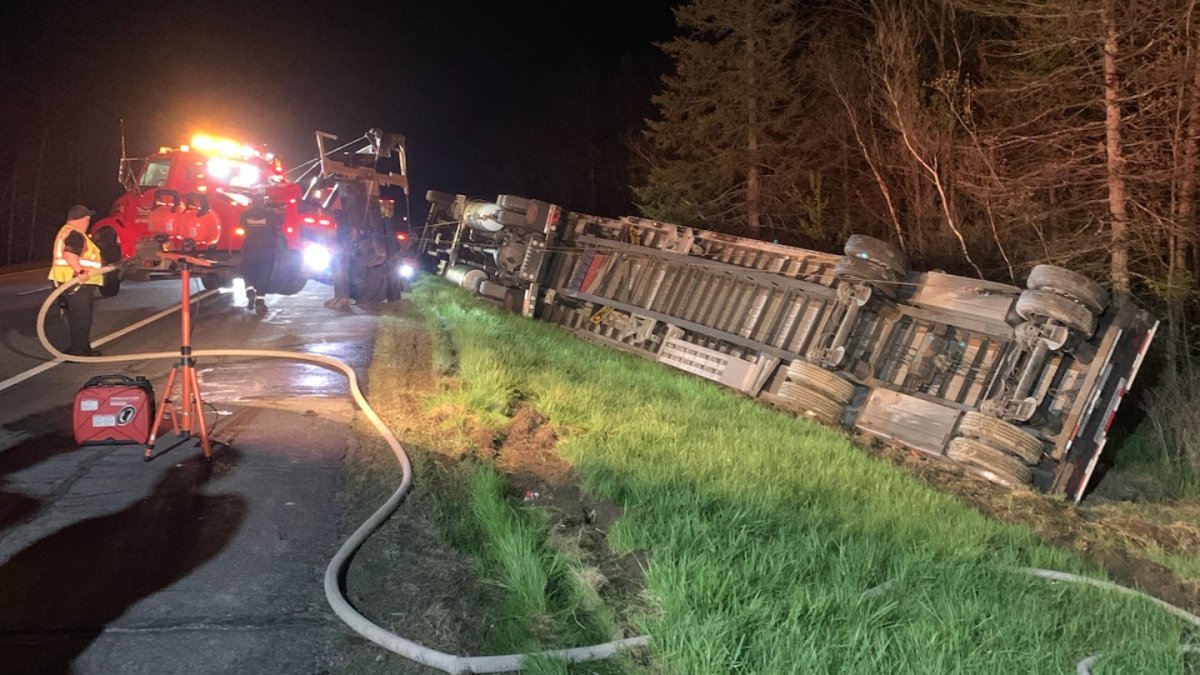 Tractor-trailer carrying 15 million honey bees rolls over on I-95 in Maine  – NECN