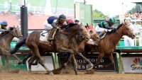 What is the Triple Crown and how many horses have won it?