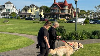 People walk dogs in front of homes