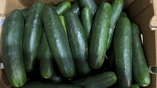 Cucumbers