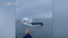 Watch: Breaching whale takes out small boat in New Hampshire