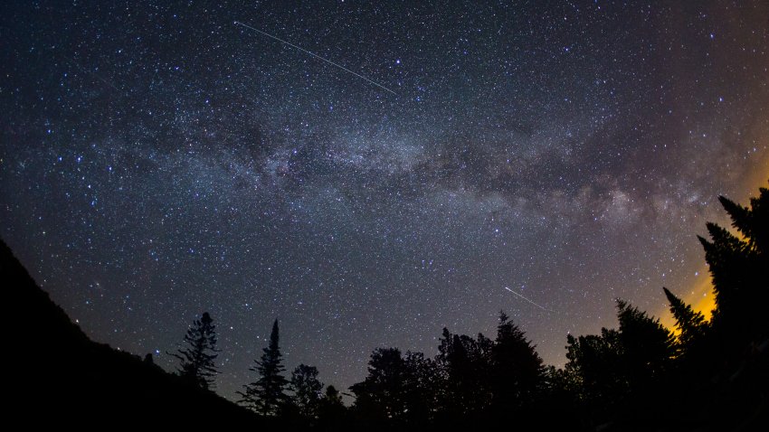 A photo of the starry night sky with trees lining the edges; shows the Alpha Capricornids and the Milky Way.