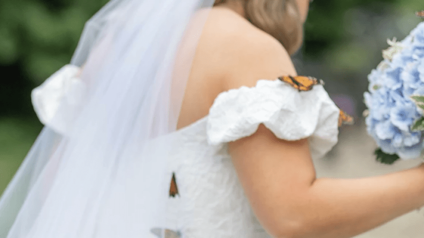 Butterflies on a bride's dress