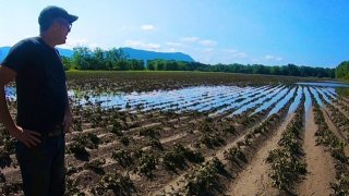 A flooded farm in Guildhall, Vermont