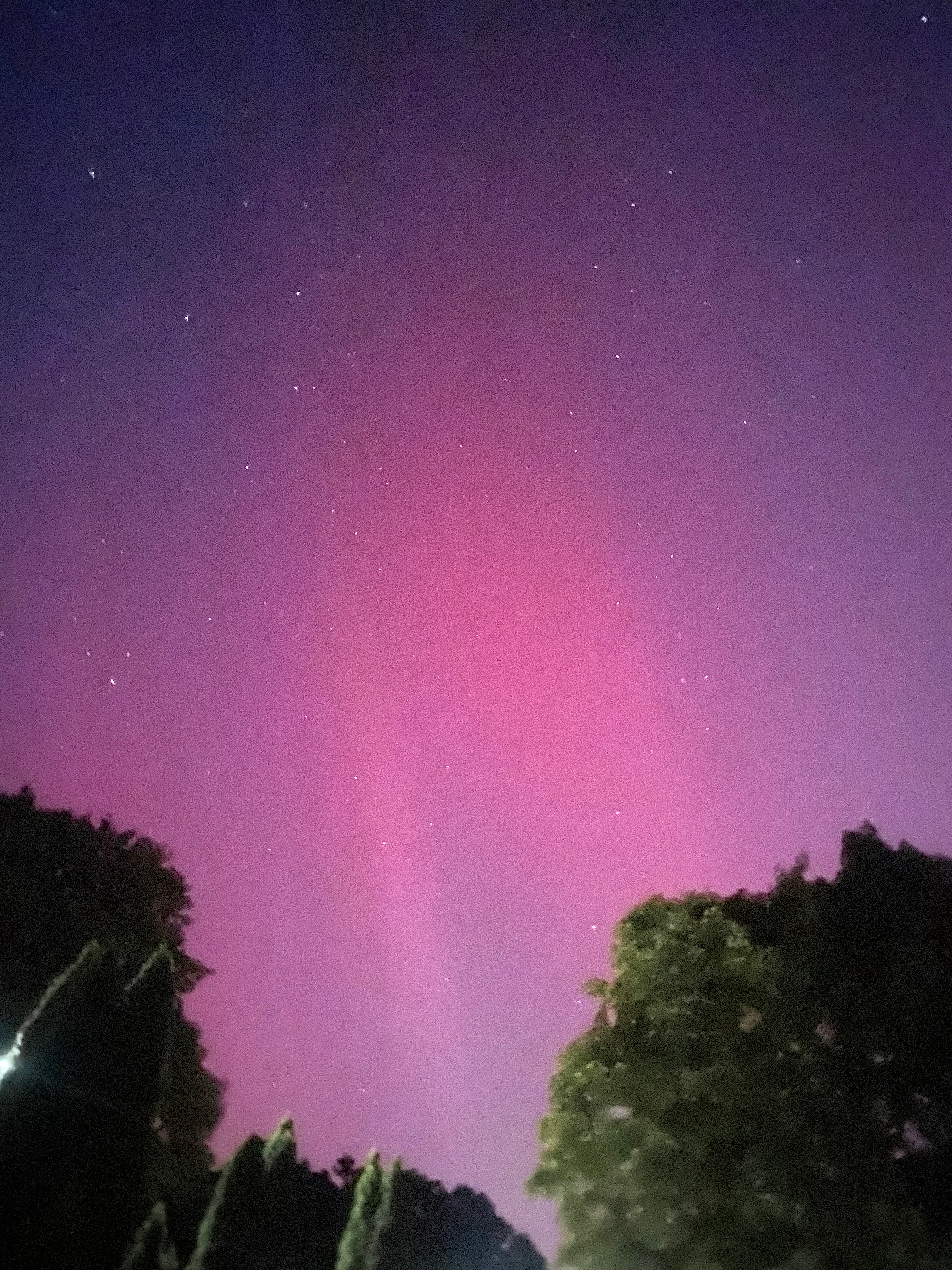 Northern Lights during the Perseids in Berlin. Went outside to watch the Perseid Meteor shower and was surprised with the Northern Lights! It was a little after 2 a.m. and they only lasted around 30 mins. but it was a lovely, beautiful surprise.