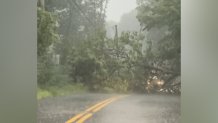 A tree came down in Acton near the Maynard line during strong storms on Thursday.