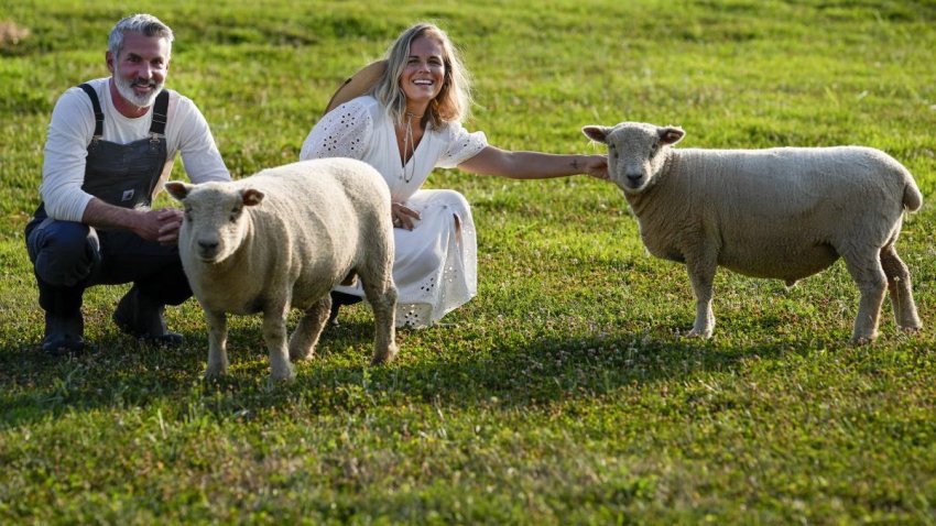 Jeff and Jamie Campion pose with their Southdown Babydoll sheep Buttermilk and Biscuit in their backyard Wednesday, July 3, 2024, in Thompson Station, Tenn. (AP Photo/George Walker IV)