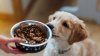 Want to make your own pet food? Here's what to know