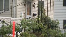 A falling tree narrowly missed a home in Newton, Massachusetts, during storms Thursday.