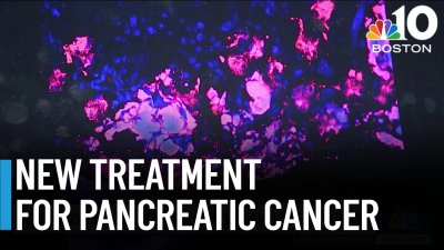 New pancreatic cancer treatment developed at UMass