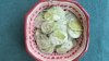 Cucumber Salad Recipe