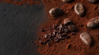 Cocoa beans and cocoa powder