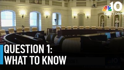 Mass. voters' guide to Question 1