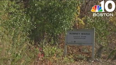 Volunteers search for Harmony Montgomery's remains