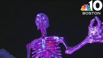 Giant pink skeleton dazzles Needham neighborhood