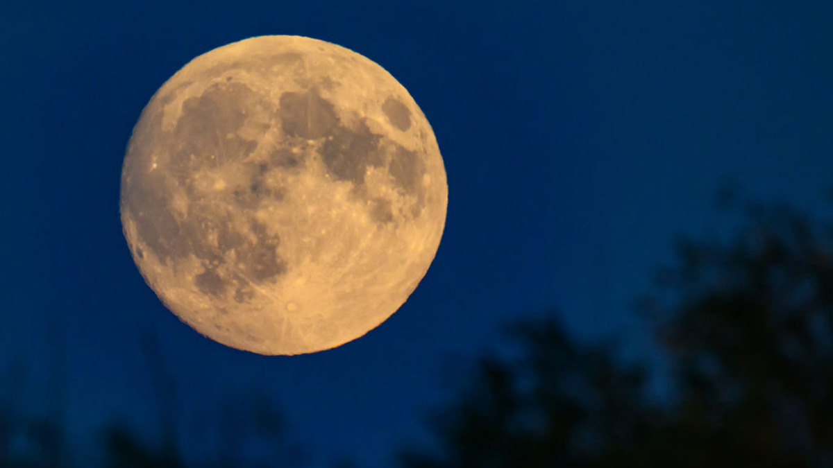 Last supermoon of 2024 When to see the ‘Beaver Moon’ NECN