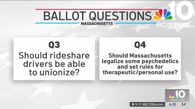 Mass. voters weighing in on these five ballot questions