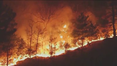 Lynn Woods Reservation brush fire grows