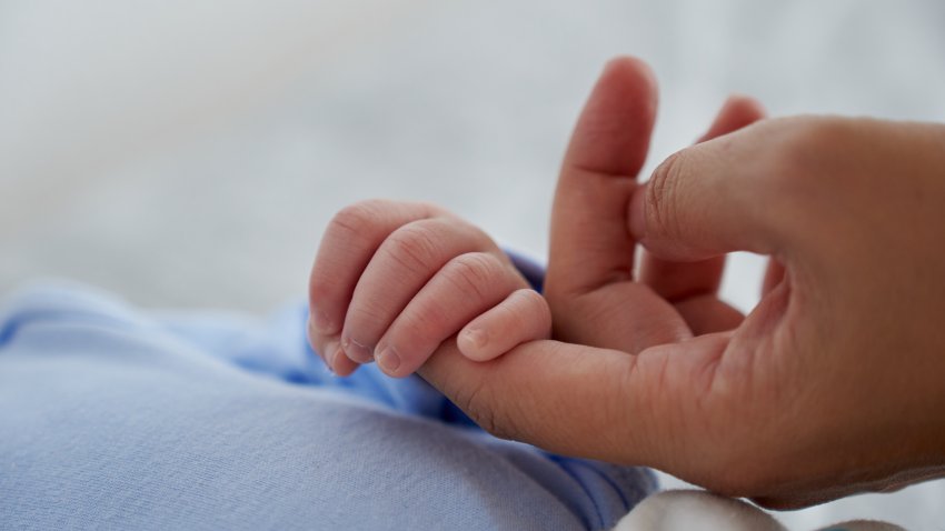 Parent holding hand of newborn baby