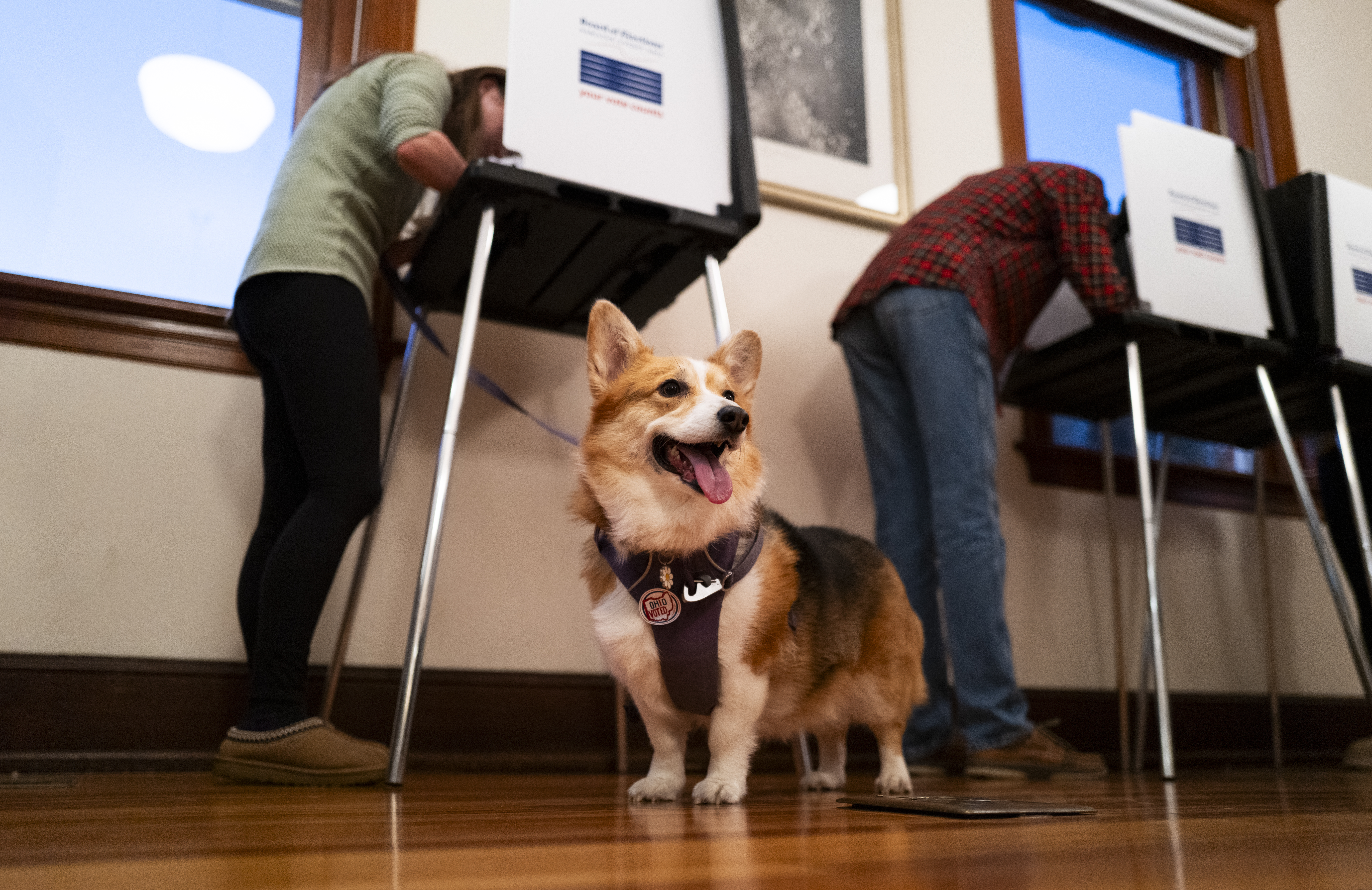 In Photos: Election Day 2024