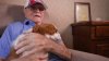 Millis WWII veteran gets 4-legged friend to combat loneliness: ‘lost without him'