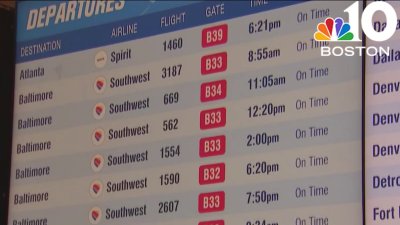 Passengers frustrated over temporary American Airlines flight grounding