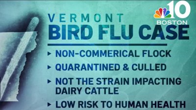 Bird flu case confirmed in Vermont